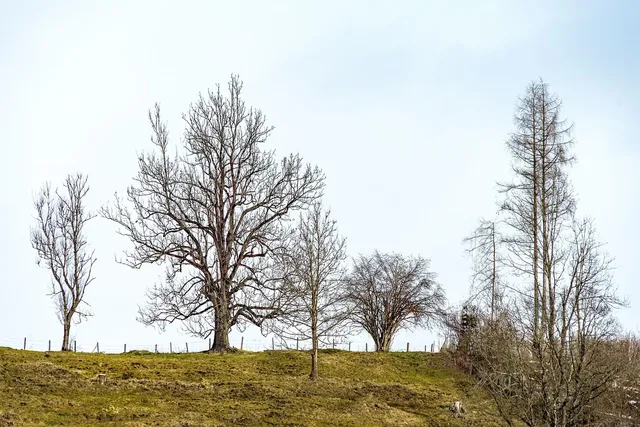 Standort Ödsterreich